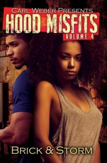 Hood Misfits, Volume 4 Read online