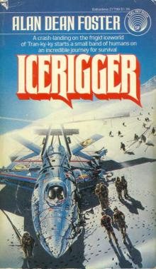 Icerigger Read online