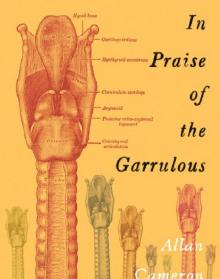 In Praise of the Garrulous Read online