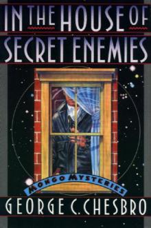 In The House Of Secret Enemies m-9 Read online
