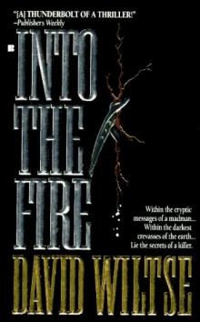 Into The Fire jb-4 Read online