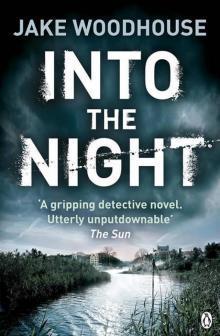 Into the Night: Inspector Rykel Book 2 (Amsterdam Quartet) Read online