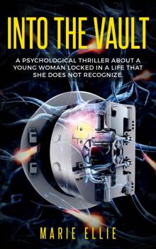 Into the Vault_A psychological thriller about a young woman locked in a life that she does not recognize.