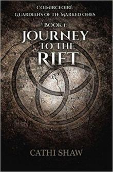 Journey To The Rift (Coimirceoirí: Guardians of the Marked Ones) Read online