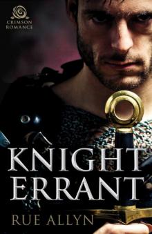Knight Errant Read online