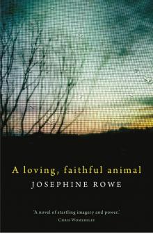 Loving, Faithful Animal Read online