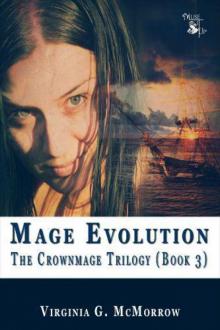 Mage Evolution (Book 3) Read online