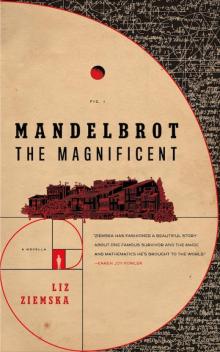 Mandelbrot the Magnificent Read online