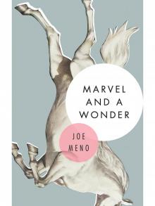 Marvel and a Wonder Read online