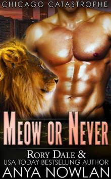 Meow Or Never: BBW SEAL Shifter Surprise Pregnancy Romance (Chicago Catastrophe)
