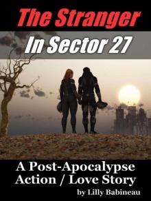 Military / Time Travel Romance: The Stranger In Sector 27 - A Post Apocalypse Love Story (Book 1)