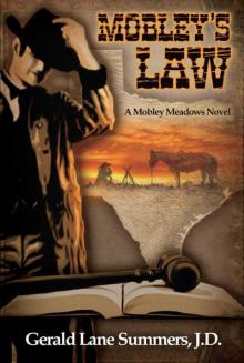 Mobley's Law, A Mobley Meadows Novel Read online