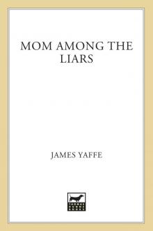 Mom Among the Liars Read online