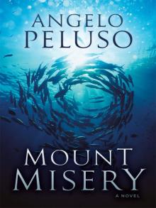 Mount Misery Read online