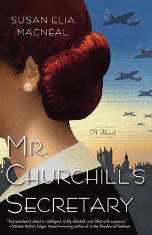 Mr. Churchill's Secretary Read online