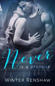 Never is a Promise Read online