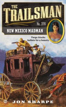 New Mexico Madman (9781101612644) Read online