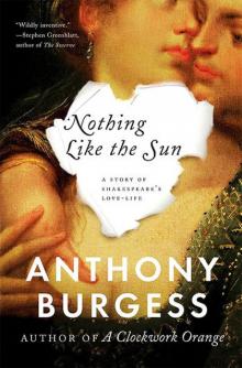 Nothing Like the Sun - Anthony Burgess