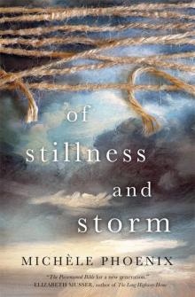 Of Stillness and Storm Read online