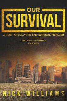 Our Survival: A Post-Apocalyptic EMP Survival Thriller (Grid Down Book 1) Read online