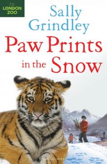 Paw Prints in the Snow Read online