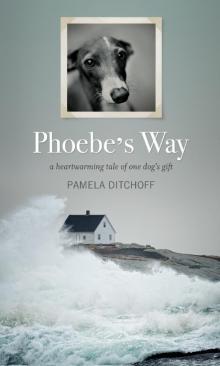 Phoebe's Way Read online