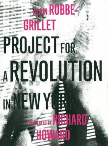 Project for a Revolution in New York