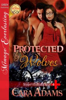 Protected by Wolves [Shape-Shifter Clinic 4] (Siren Publishing Ménage Everlasting) Read online