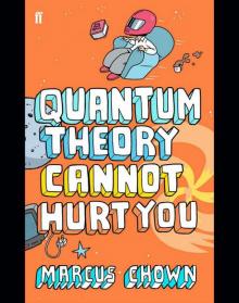 Quantum Theory Cannot Hurt You Read online