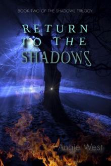 Return to the Shadows Read online