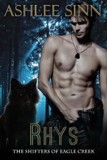 Rhys (The Shifters of Eagle Creek Book 3) Read online