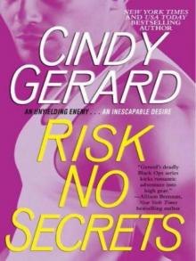 Risk no Secrets Read online