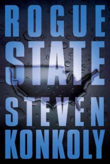 Rogue State (Fractured State Series Book 2)