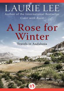 Rose for Winter Read online