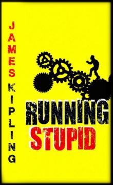 Running Stupid: (Mystery Series) Read online