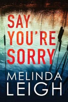 Say You're Sorry (Morgan Dane Book 1) Read online