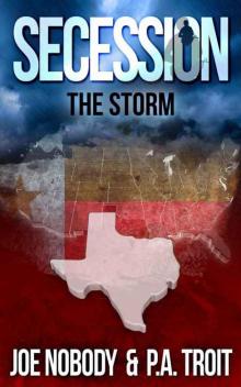 Secession: The Storm Read online