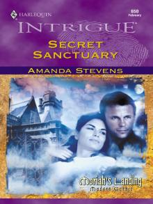 Secret Sanctuary Read online