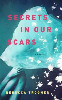 Secrets In Our Scars Read online