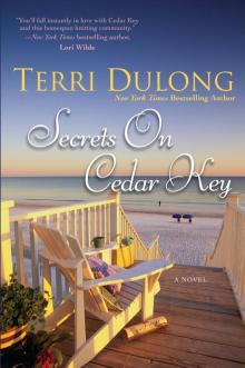 Secrets on Cedar Key Read online