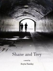 Shane and Trey[ Enemies to Lovers 01 ] Read online