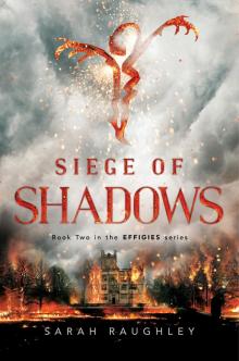 Siege of Shadows Read online