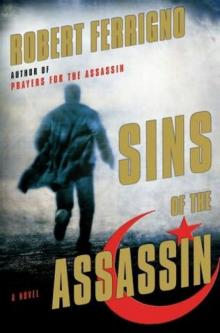Sins of the Assassin Read online