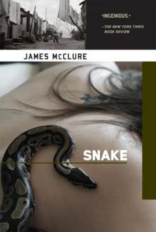 Snake Read online