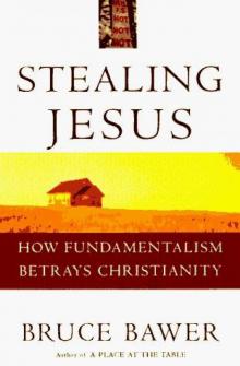Stealing Jesus: how fundamentalism betrays Christianity Read online