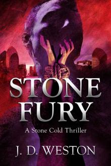 Stone Fury: A Stone Cold Thriller (Stone Cold Thriller Series Book 2) Read online