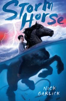 Storm Horse