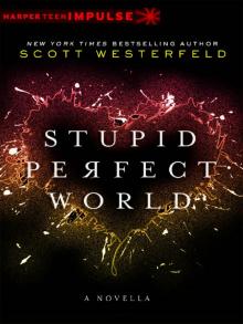 Stupid Perfect World Read online