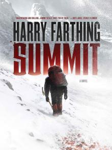 Summit: A Novel Read online