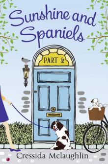 Sunshine and Spaniels Read online